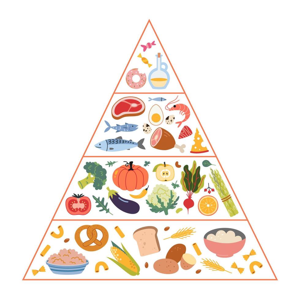 Healthy eating pyramid concept with different types of food. Infographics with the required proportions of diet. Carbs, Vegetables, fruits, proteins and oils. isolated illustration, flat. vector