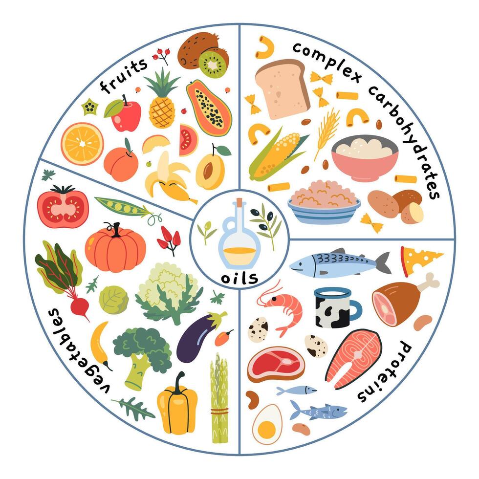 Healthy plate concept. Infographics with the required proportions of diet. Vegetables, fruits, proteins, complex carbs and oils. Modern illustration isolated on white, hand drawn, flat design. vector