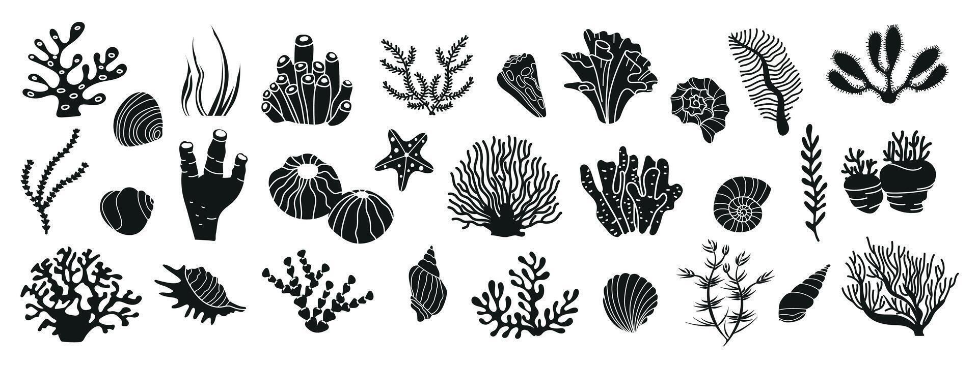 Set with seaweeds, corals and seashells. Underwater flora, ocean plants, seaweed. Black silhouettes of sea elements isolated on white. Set of tropical seabed elements. vector
