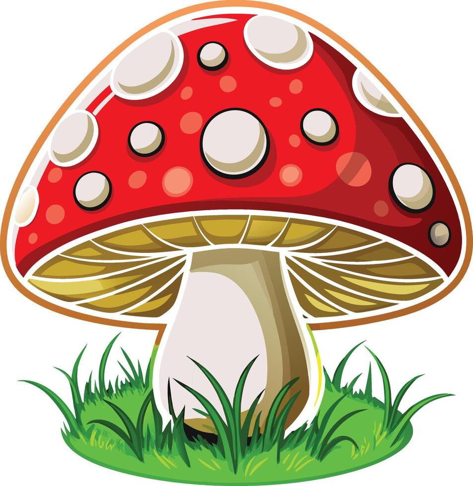 illustration of red mushrooms on a white background vector