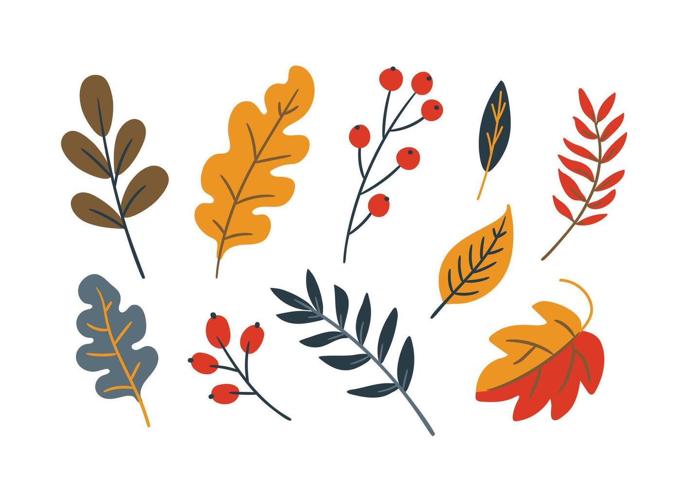 Autumn set with leaves and berries. illustration in doodle style, flat style vector
