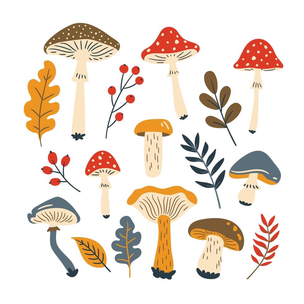 Autumn set with mushrooms, leaves and berries. illustration in doodle style, flat style vector