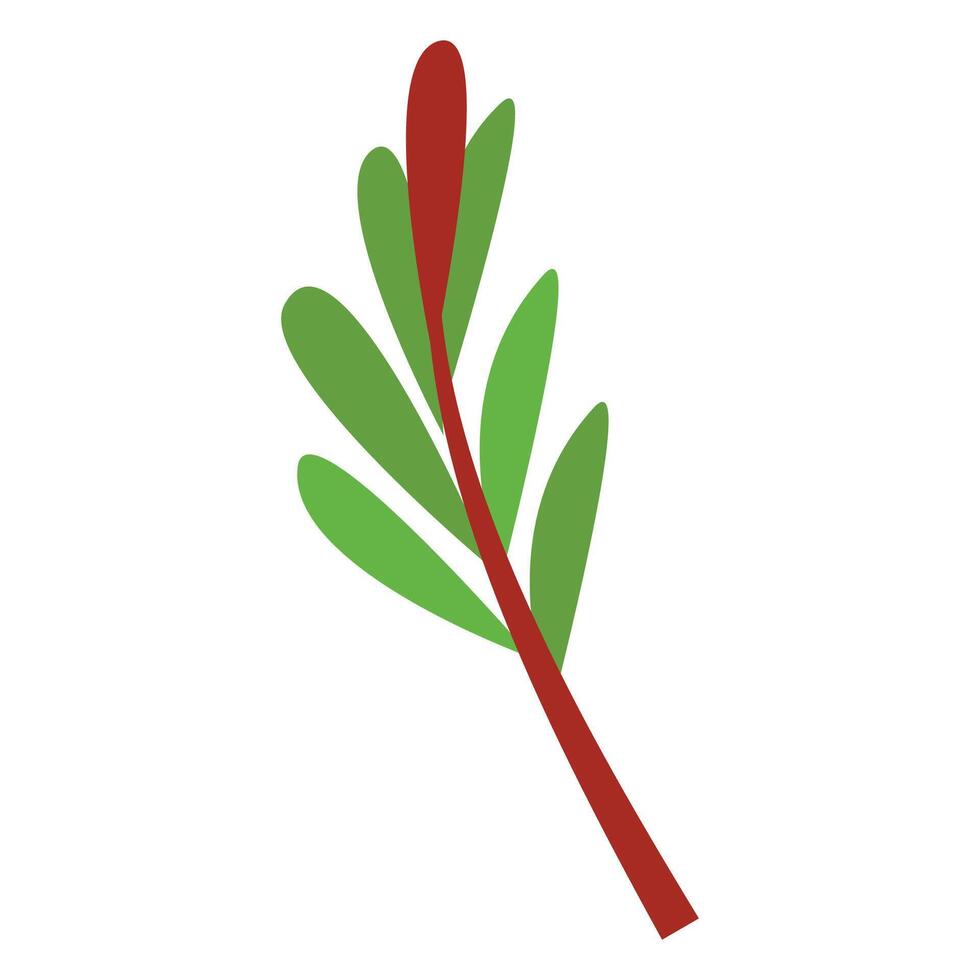 Illustration of leaf on the white background vector