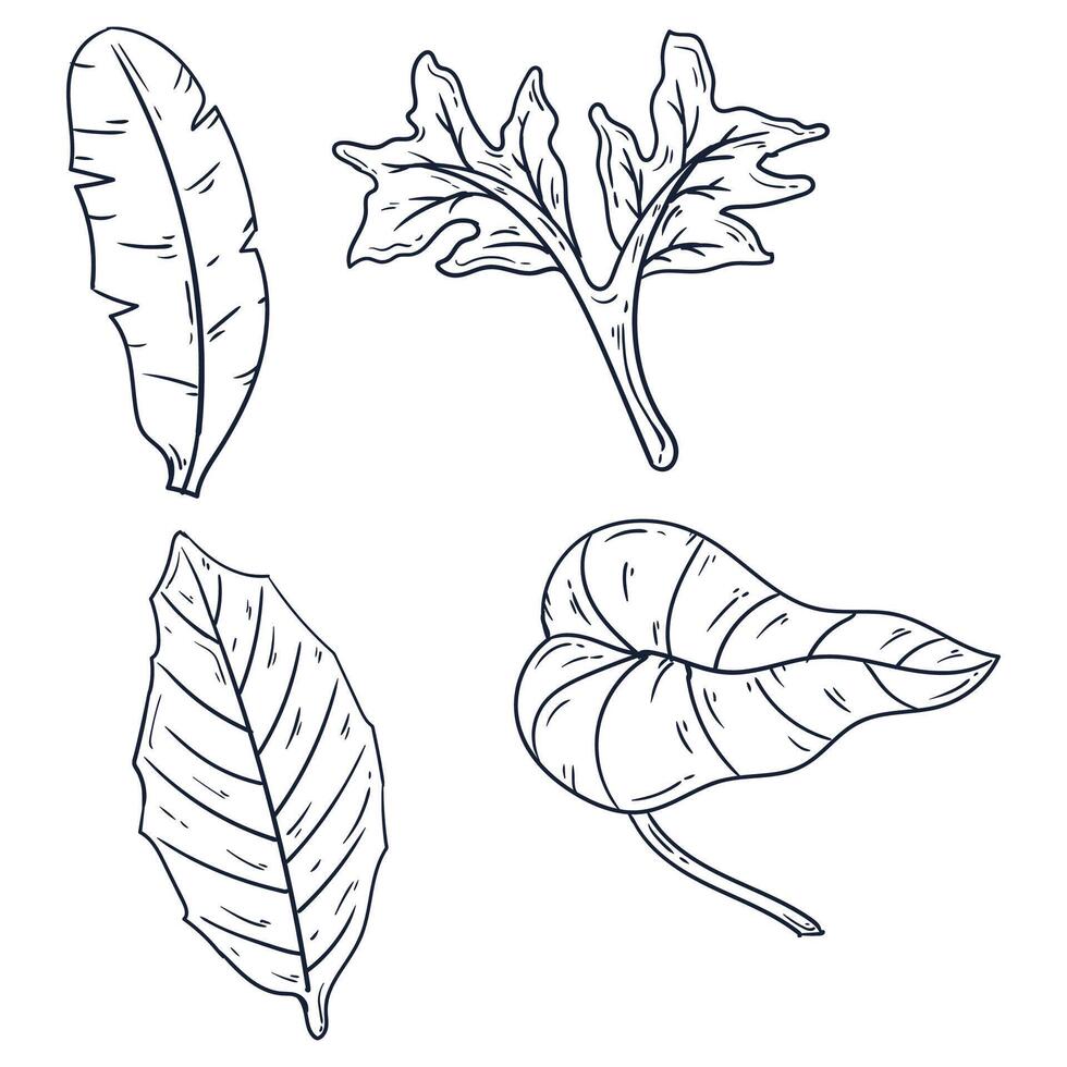 Hand drawn simple flower outline illustration set vector