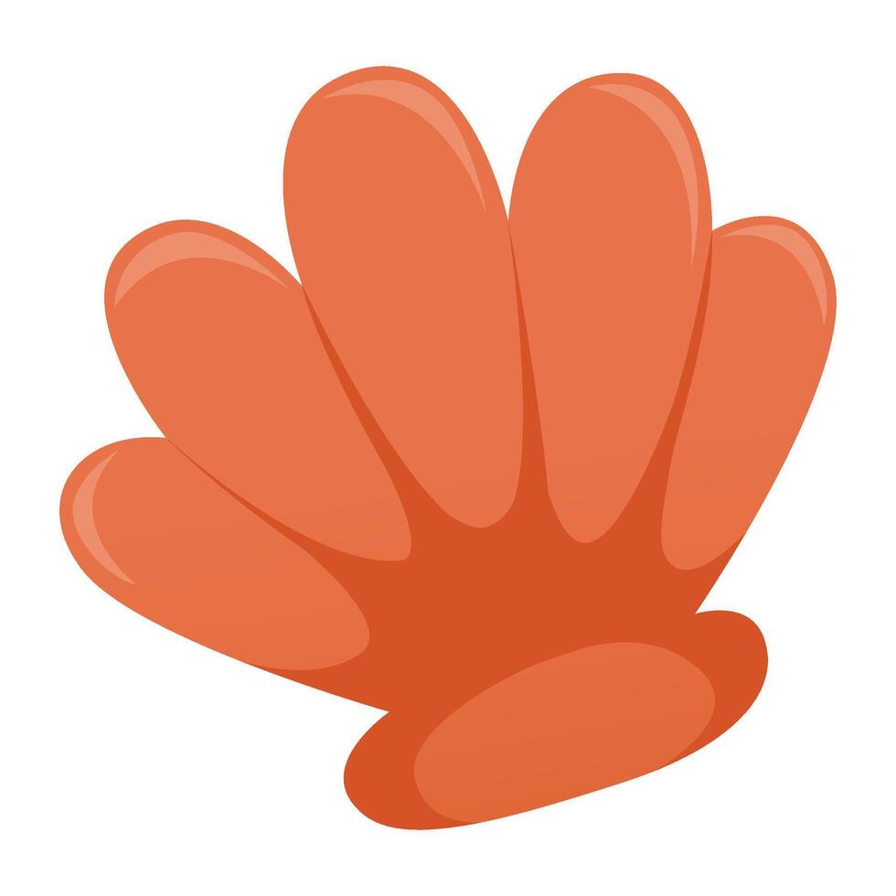 Sea Shell illustration on a white background vector