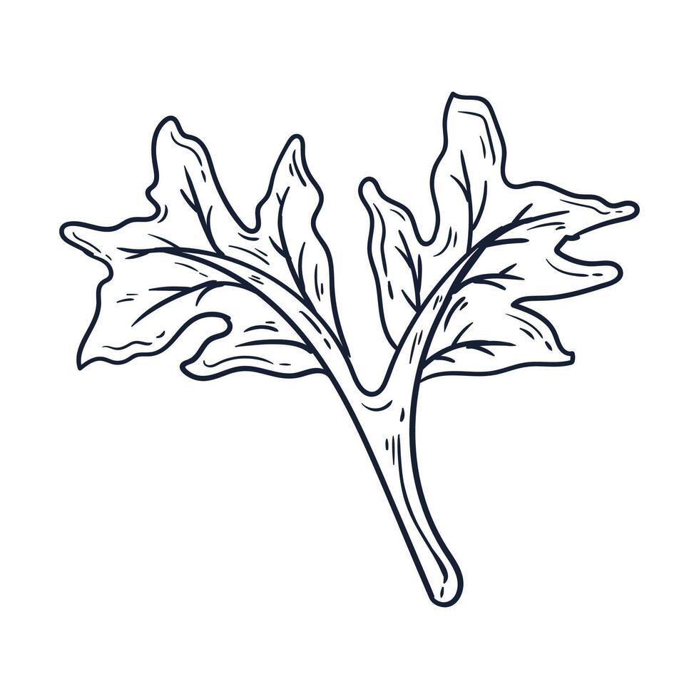 Hand drawn simple flower outline illustration on the white vector