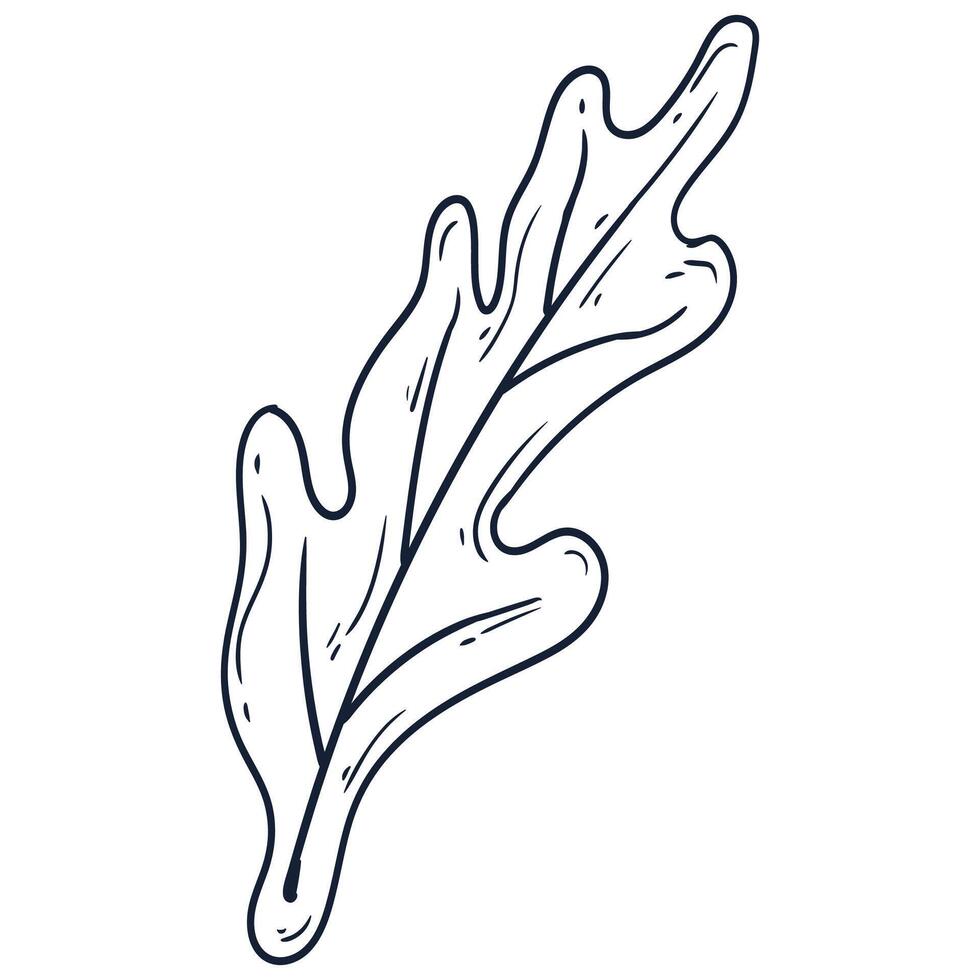 Hand drawn simple flower outline illustration isolated on the white background vector