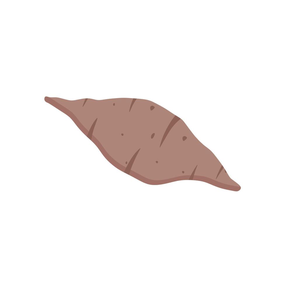 sweet potato illustration. ripe and tasty vegetable. Natural and healthy food. vector