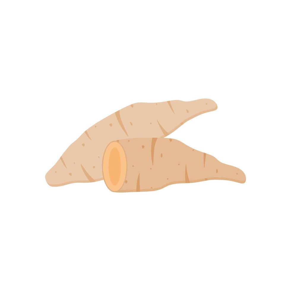 Brown sweet potato illustration, sweet potato is healthy food and good nutrition vector