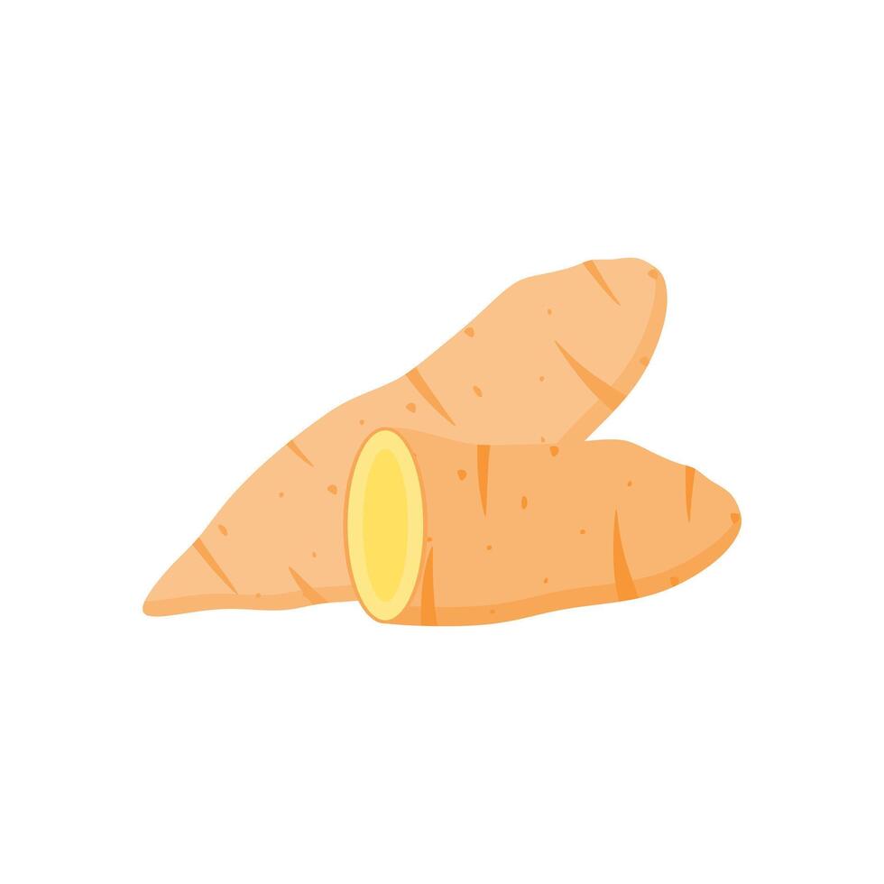 Fresh Sweet potato Vegetables Flat Design vector