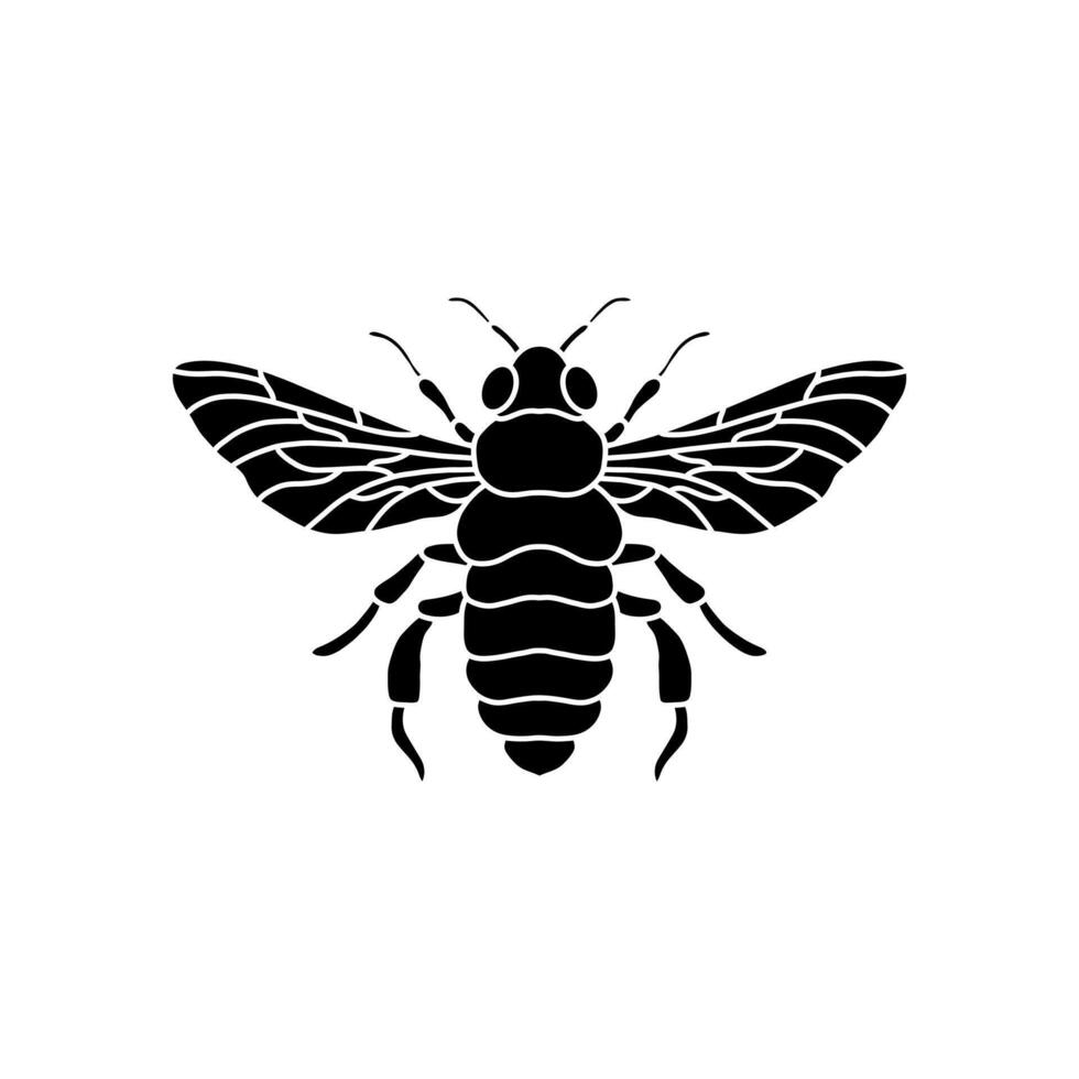 black and white honey bee or bumble isolated on white background
