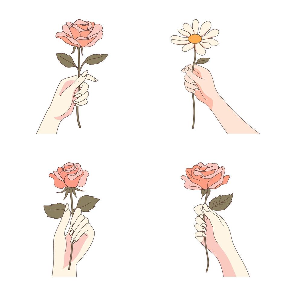Collection of Elegant Woman Hand Holding Daisy Rose Flower Floral Stalk vector