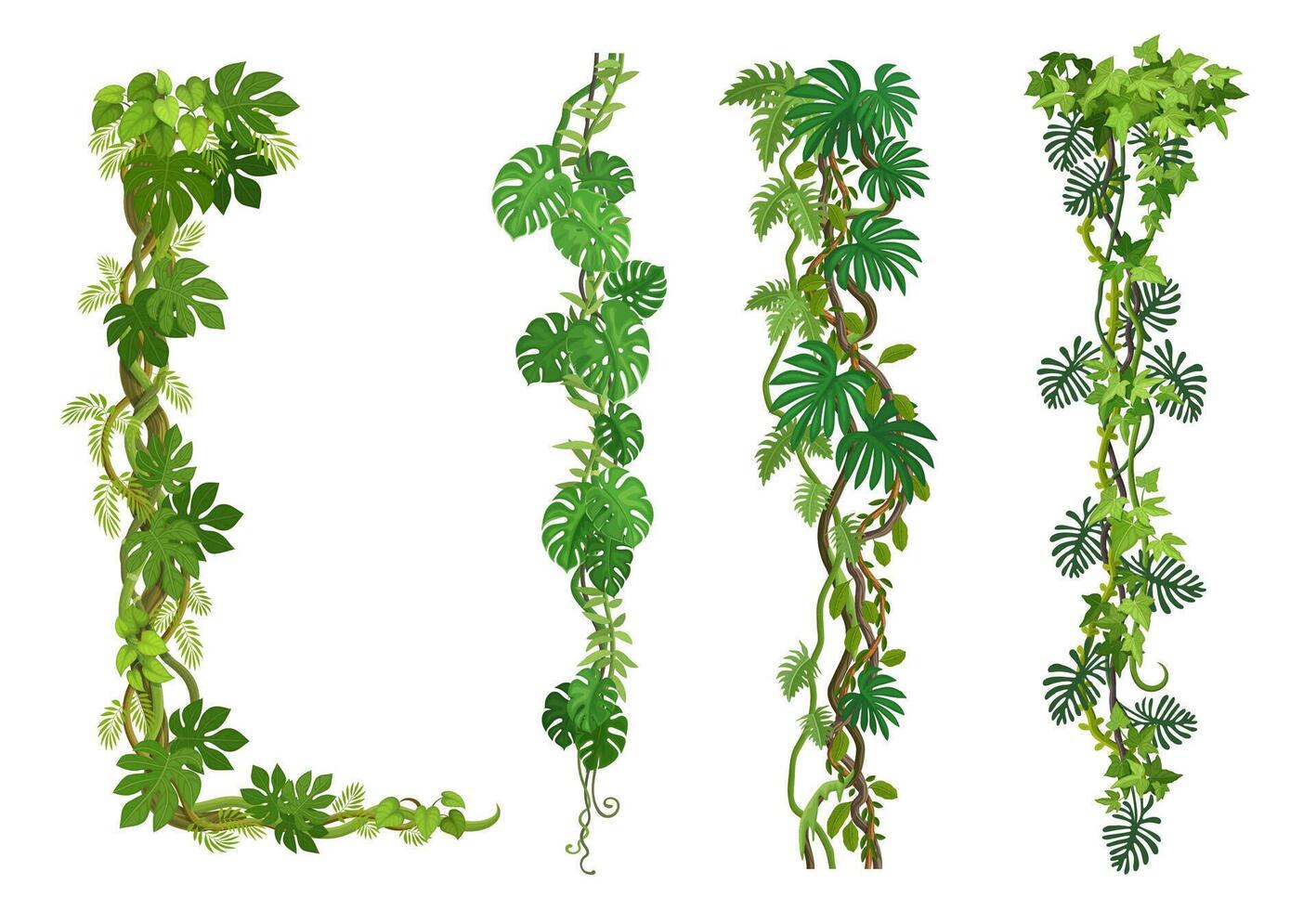Liana vine, tropical jungle forest branches frames vector