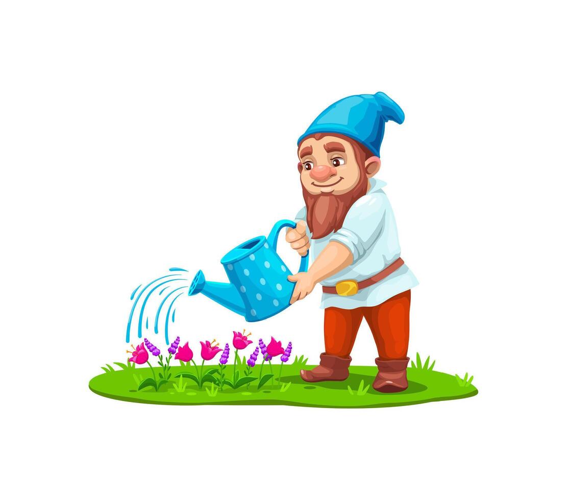 Cartoon gnome dwarf character watering flowers vector