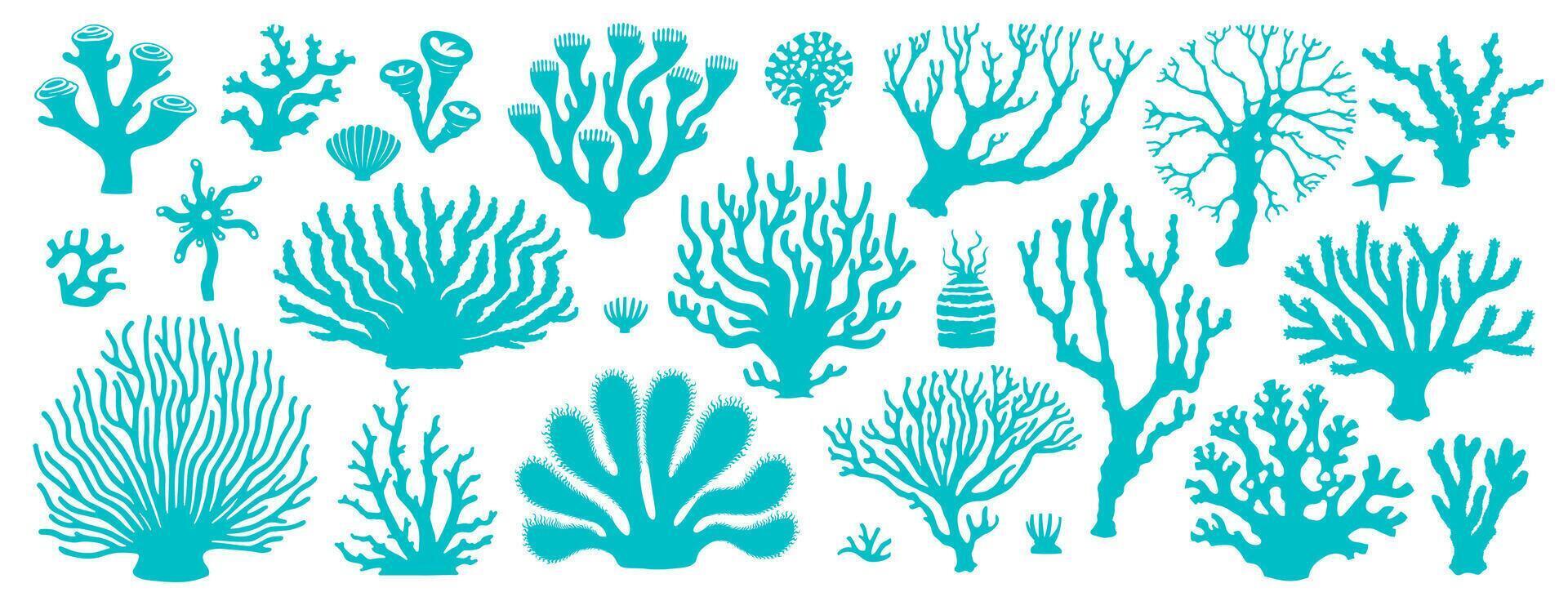 Isolated underwater sea coral reef and seaweeds vector