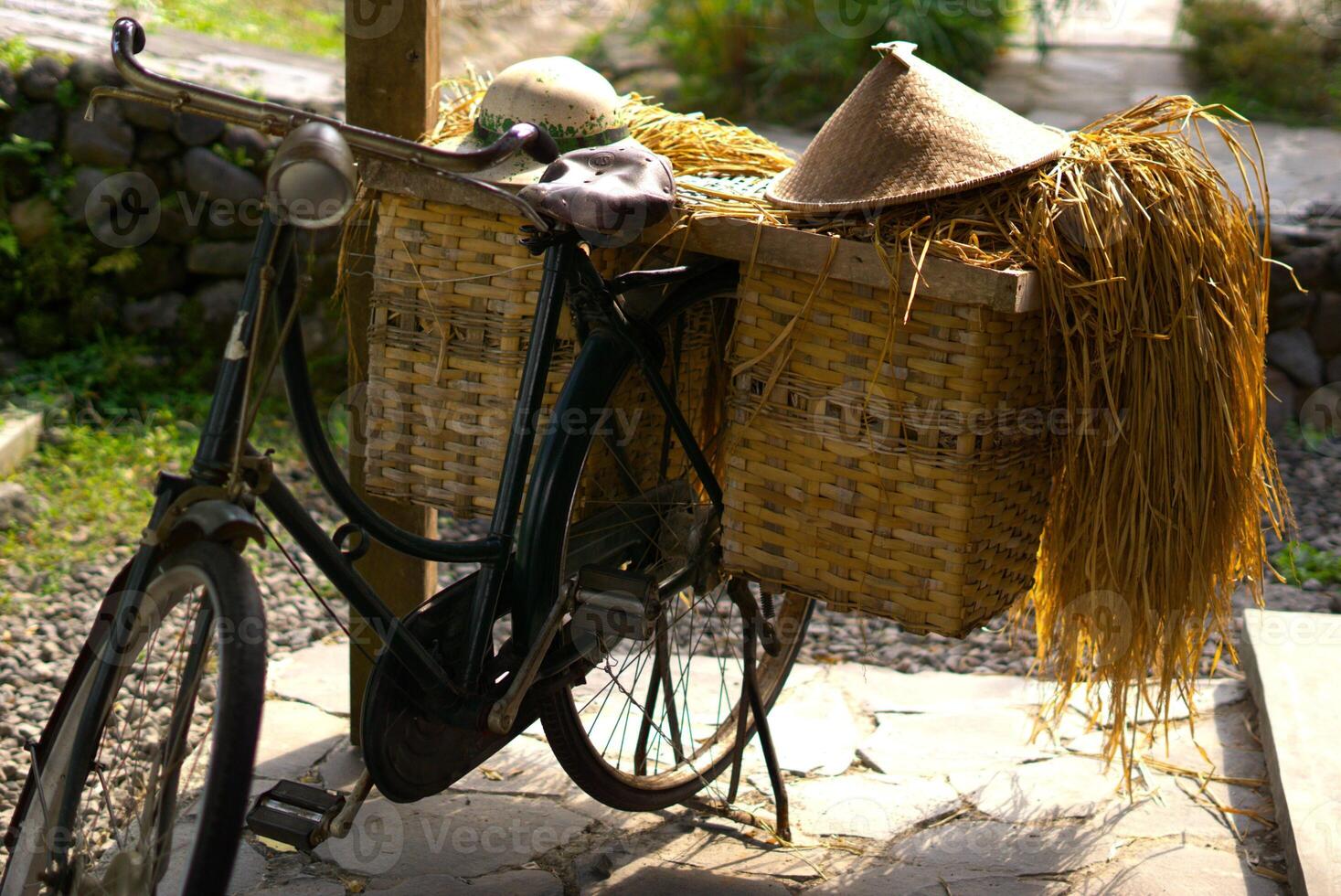 old retro bicycle carrying hay from farm on a basket with a farmer cap photo