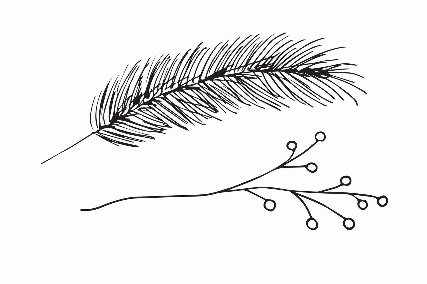 Spruce branch and berry branch, doodle illustration. vector