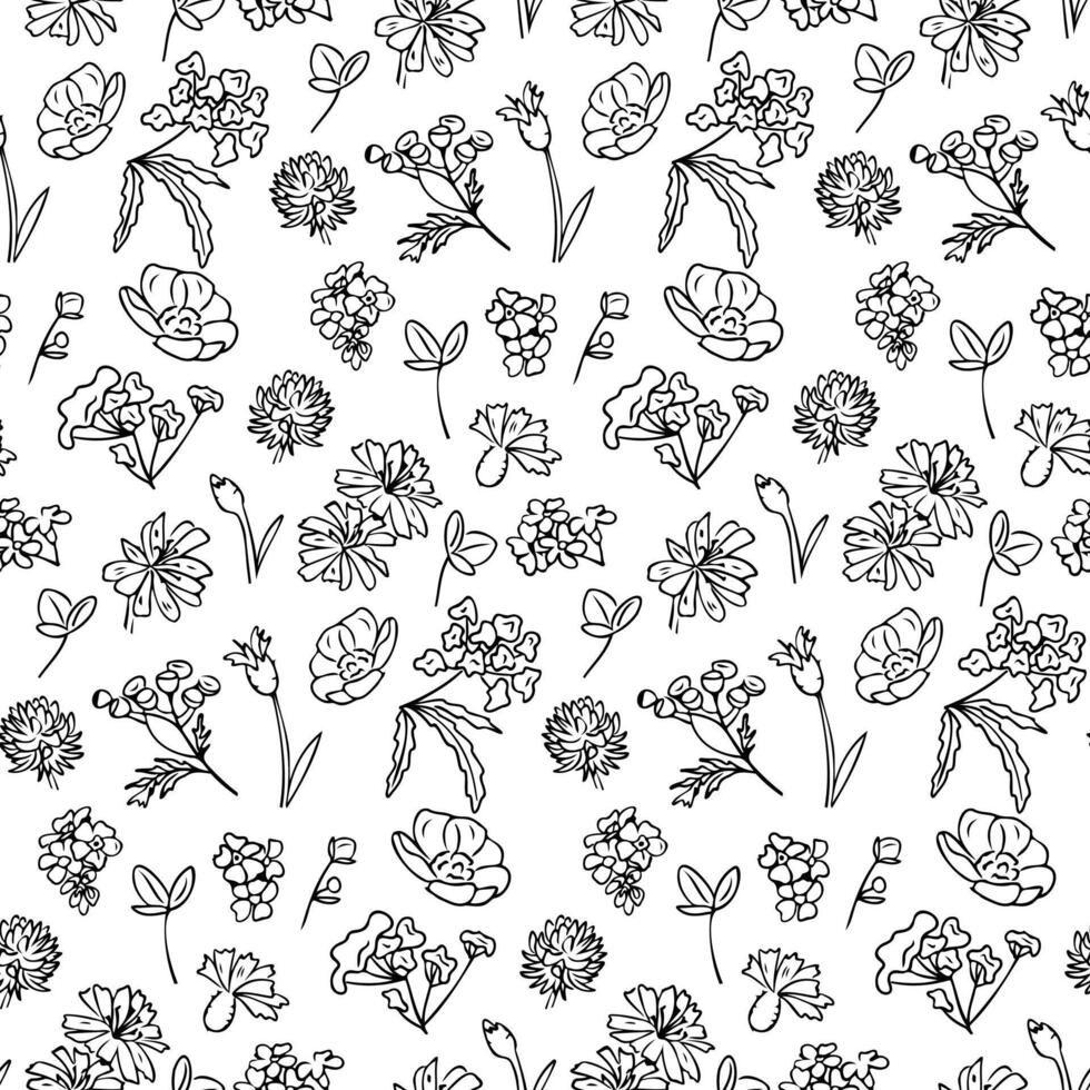 Black and white seamless pattern with doodle cornflowers, buttercups, clover and branches. Summer hand drawn illustration isolated on white background. Best for wrapping, textile, paper, wallpaper vector