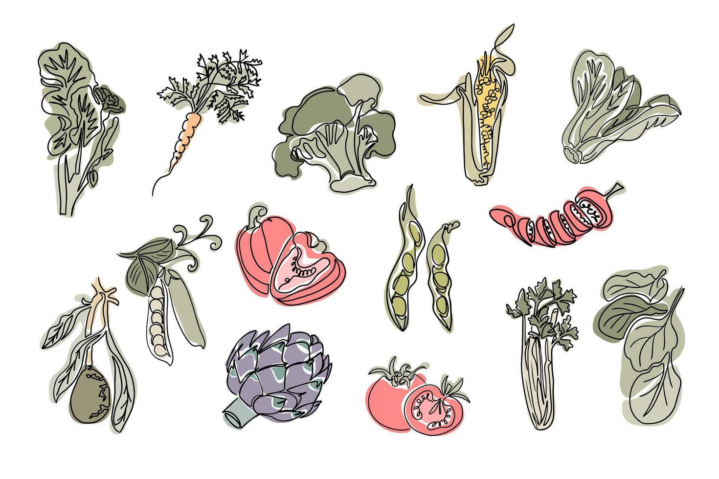 Vintage set of contour drawings of vegetables in boho style. Botanical single line retro clipart of vegan food. Contour line composition isolated on white background. vector