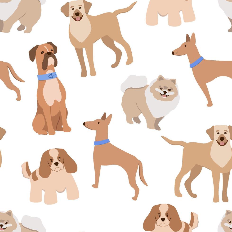 seamless pattern with cute dog different breeds isolated on white background vector