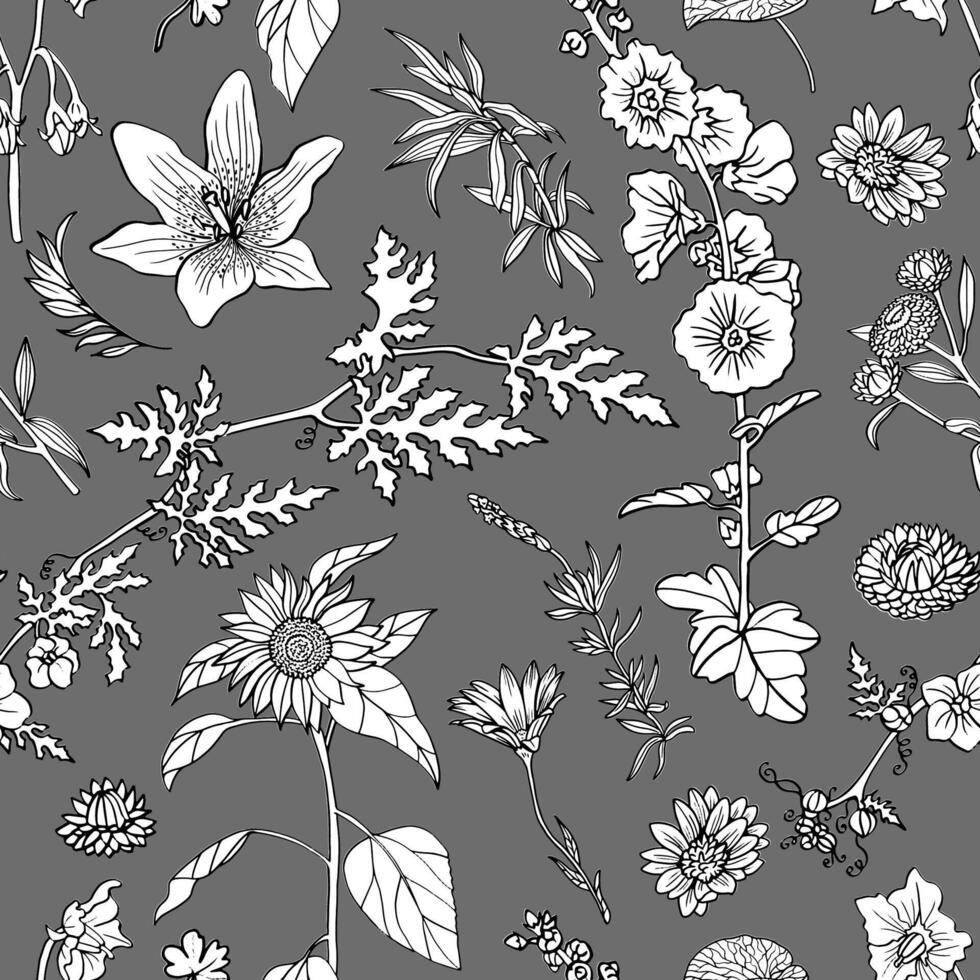 Seamless pattern with hand drawn plants, herbs, flowers and cereals. Botanical summer concept. Line art background vector