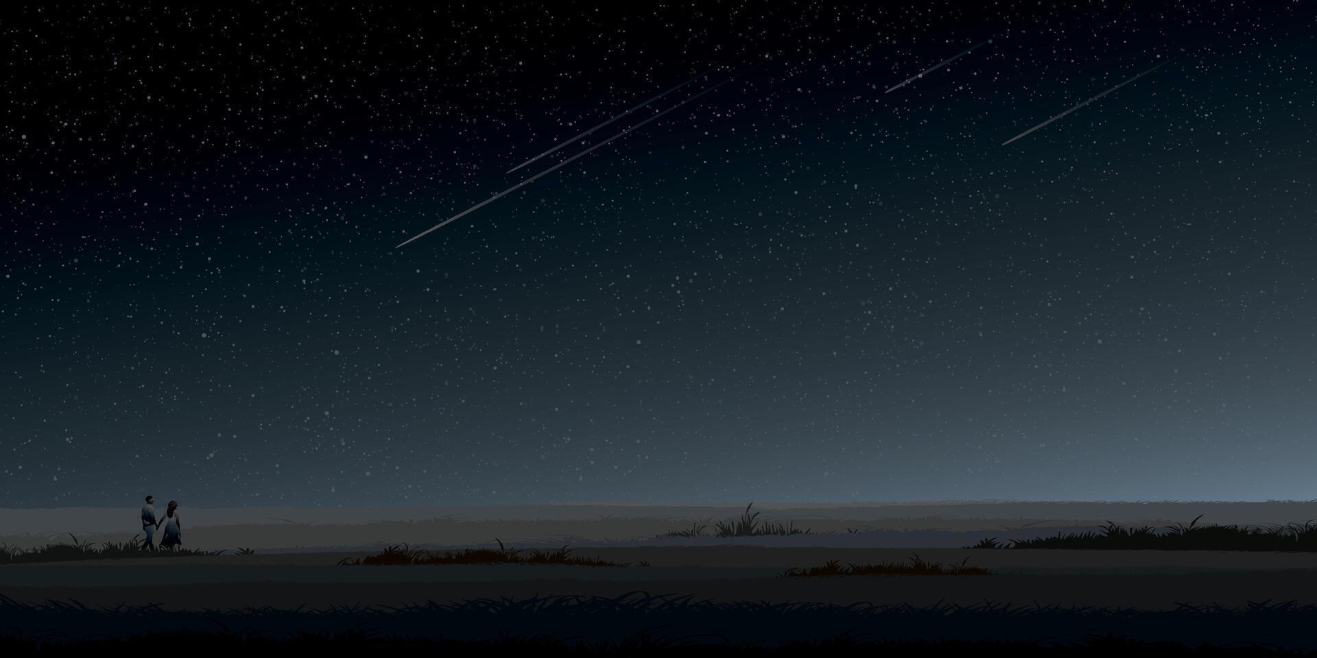 Minimalist field landscape at night with silhouetted couple of lover have meteor and night sky with a lot of stars background graphic illustration. vector