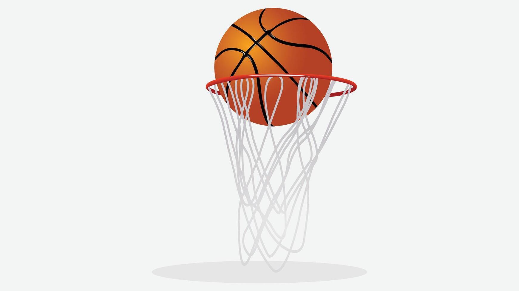 Sports and olympic athlete equipment icons illustration vector