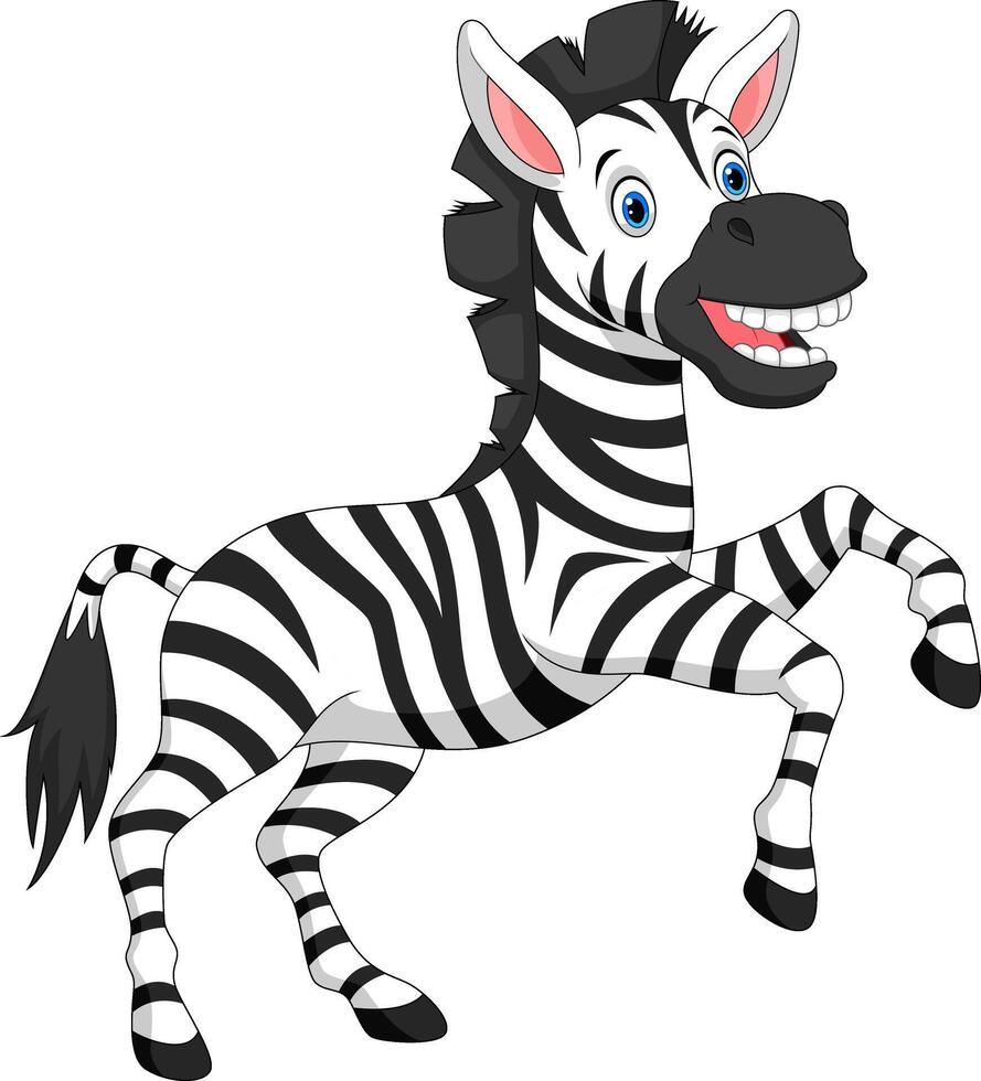 Cute zebra cartoon isolated on white background vector