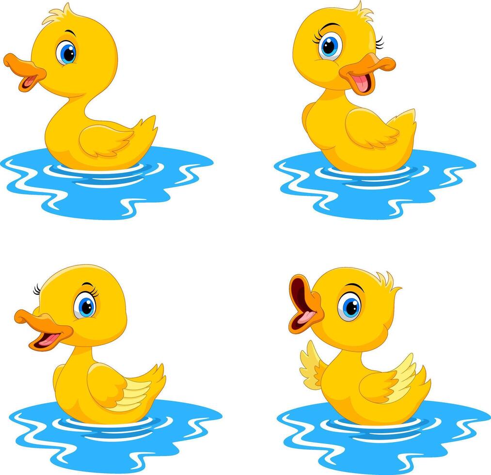 Cute baby duck cartoon swimming vector