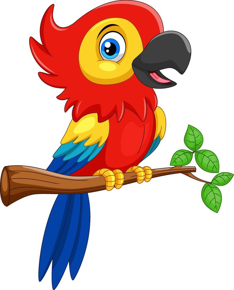 Cute parrot on the branch vector