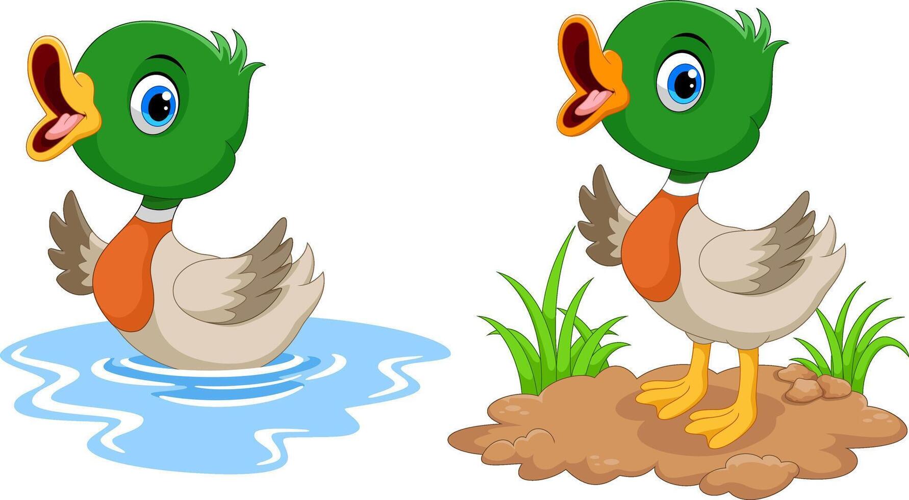 Cute cartoon duck on white background vector