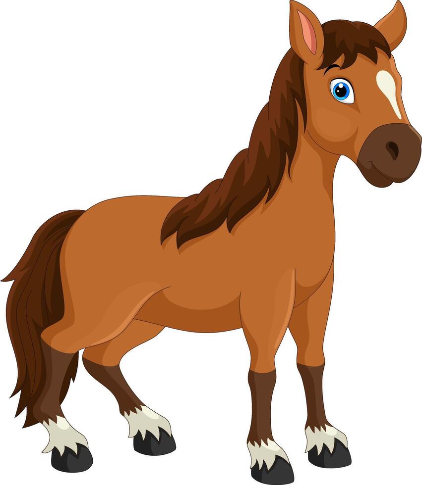Cute horse cartoon on white background vector