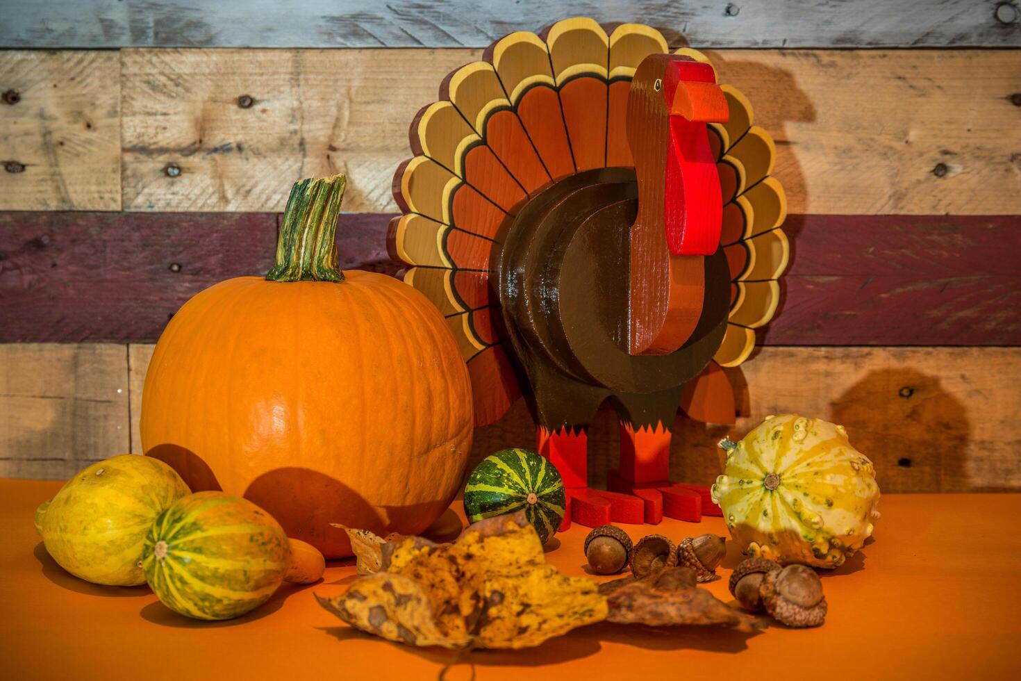 Thanksgiving turkey and pumpkin display photo