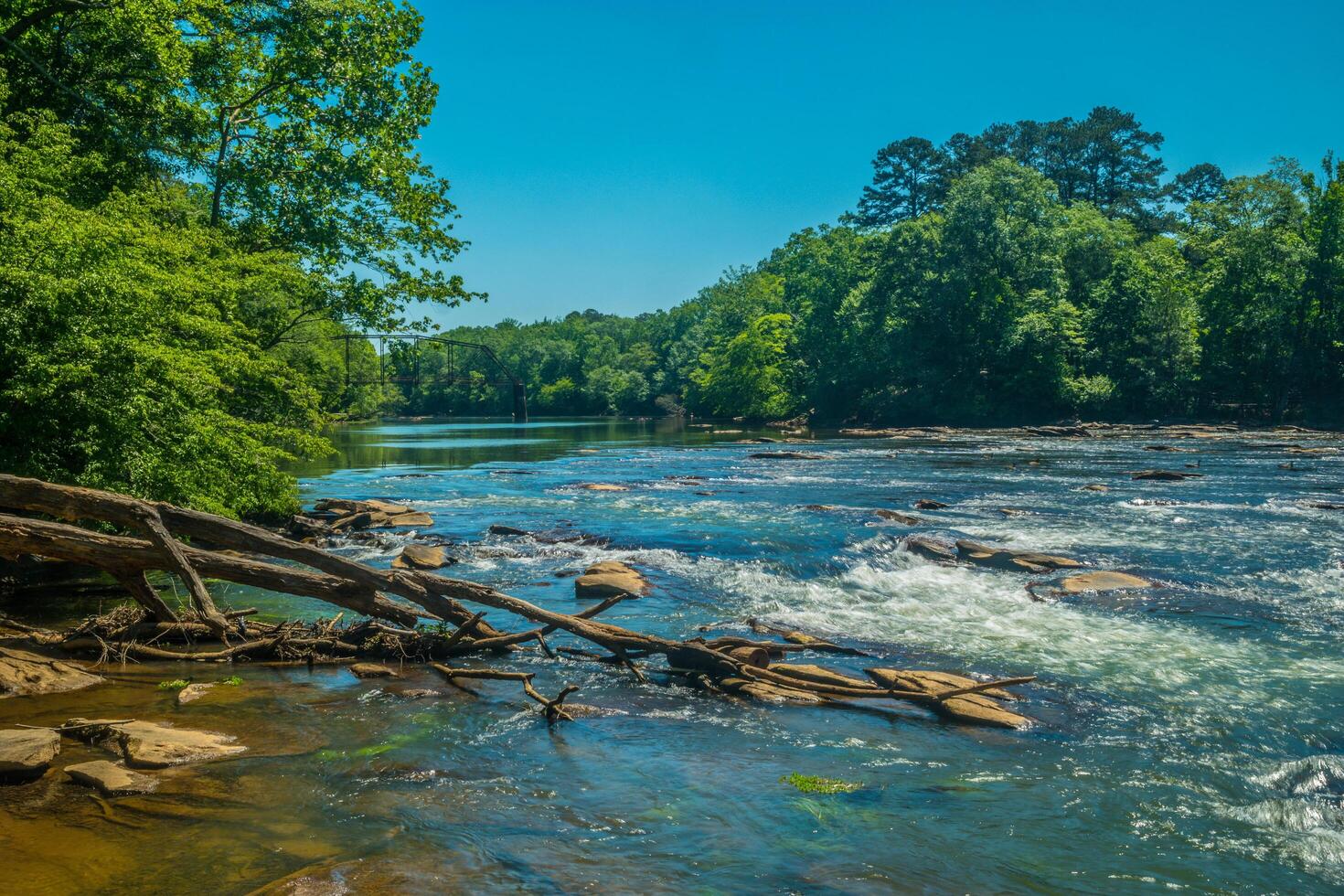Jones bridge park Georgia photo