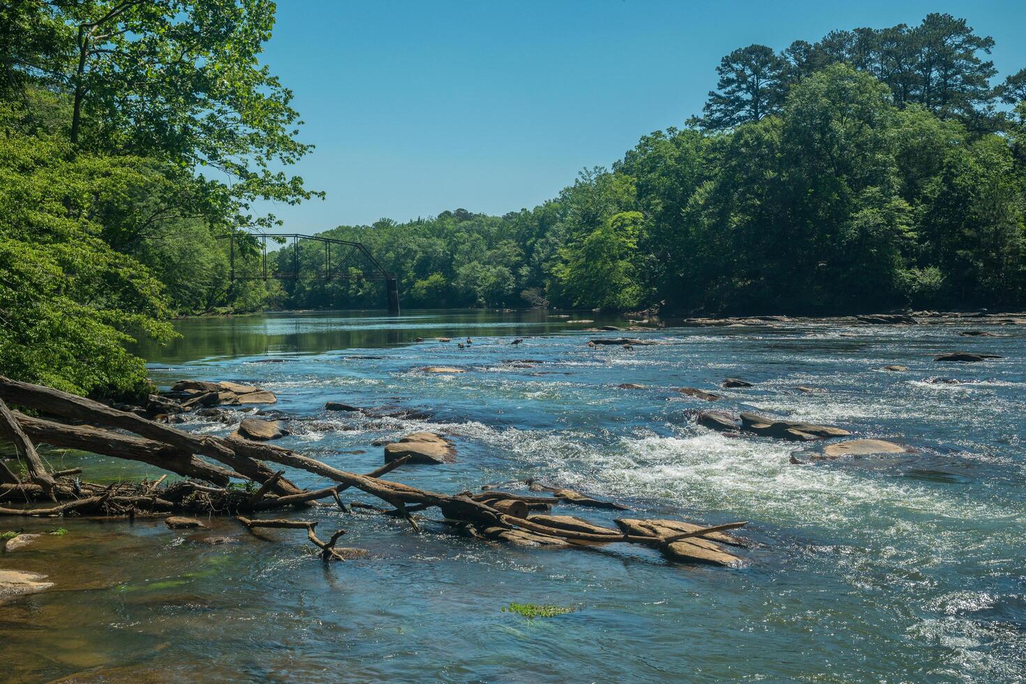 Chattahoochee river in Georgia photo