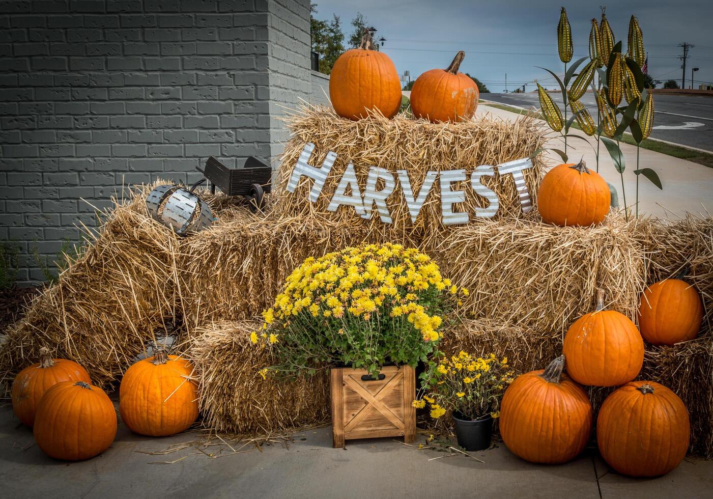 Autumn display outdoors photo