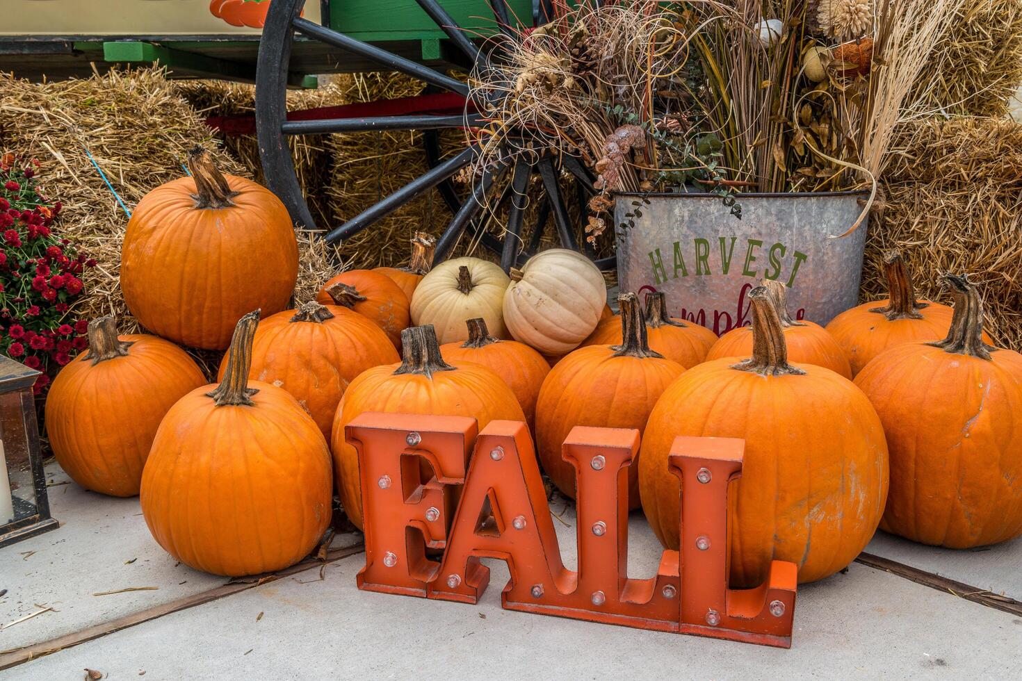 Fall display with pumpkins photo
