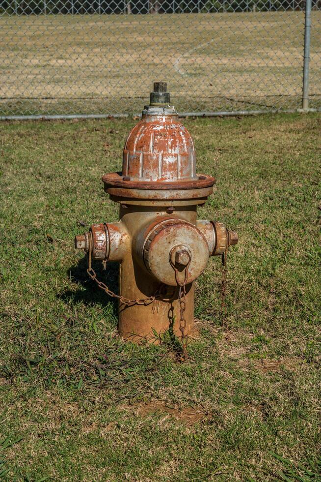 Fire hydrant outdoors photo