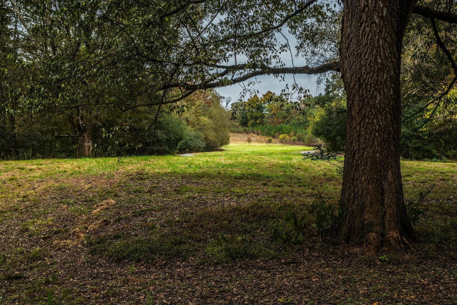 Walking trail in autumn photo