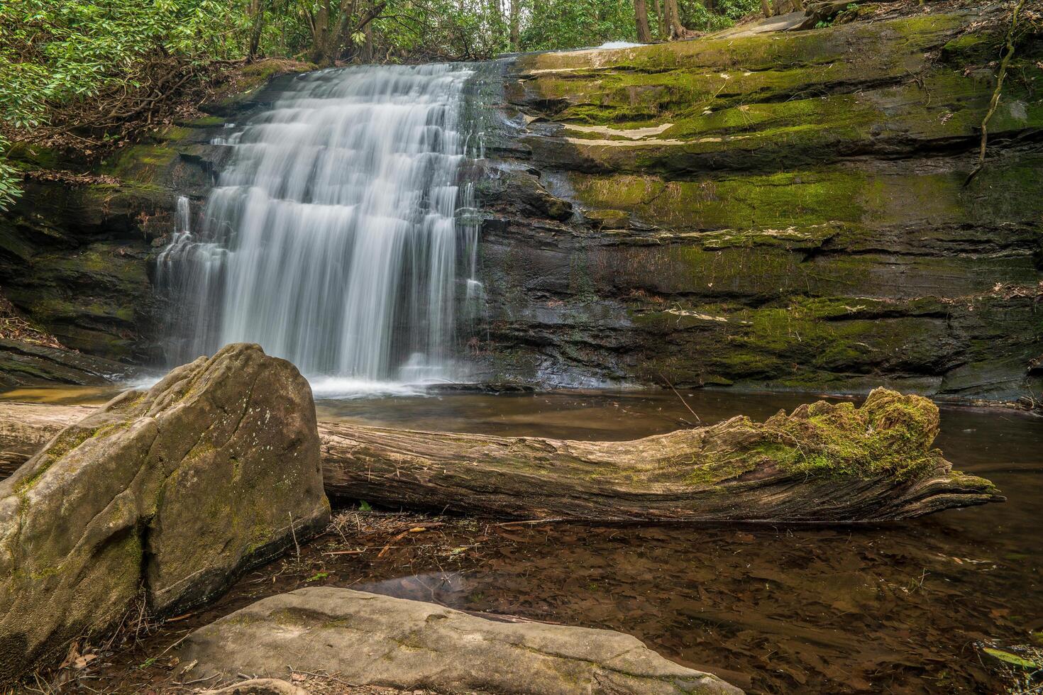 Long creek falls in Georgia photo