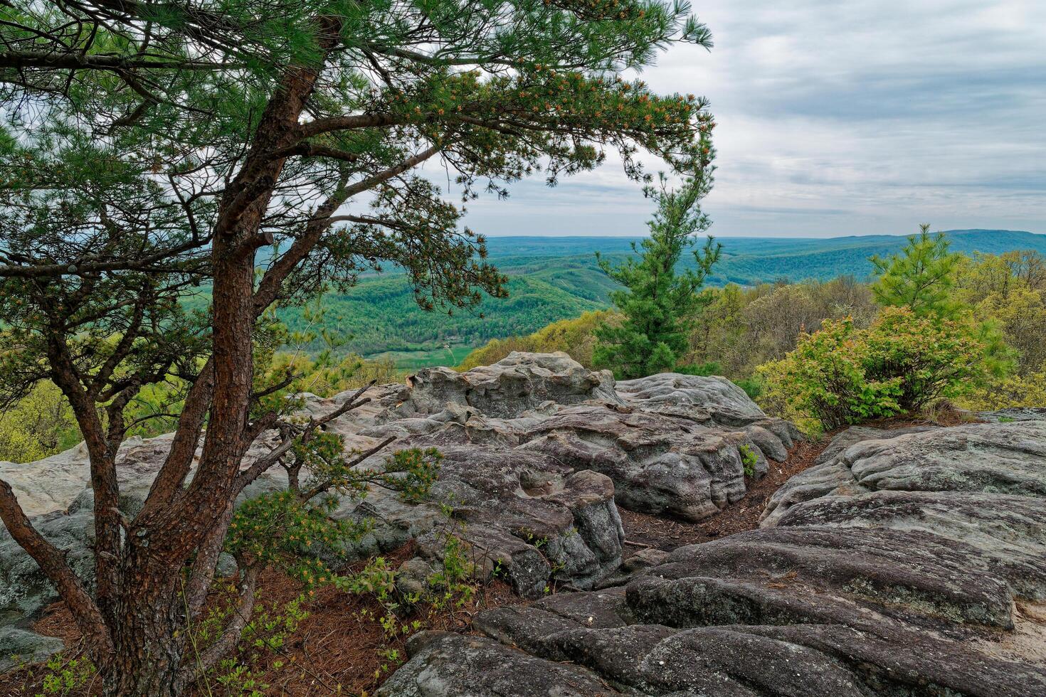 Overlook view on the mountain photo