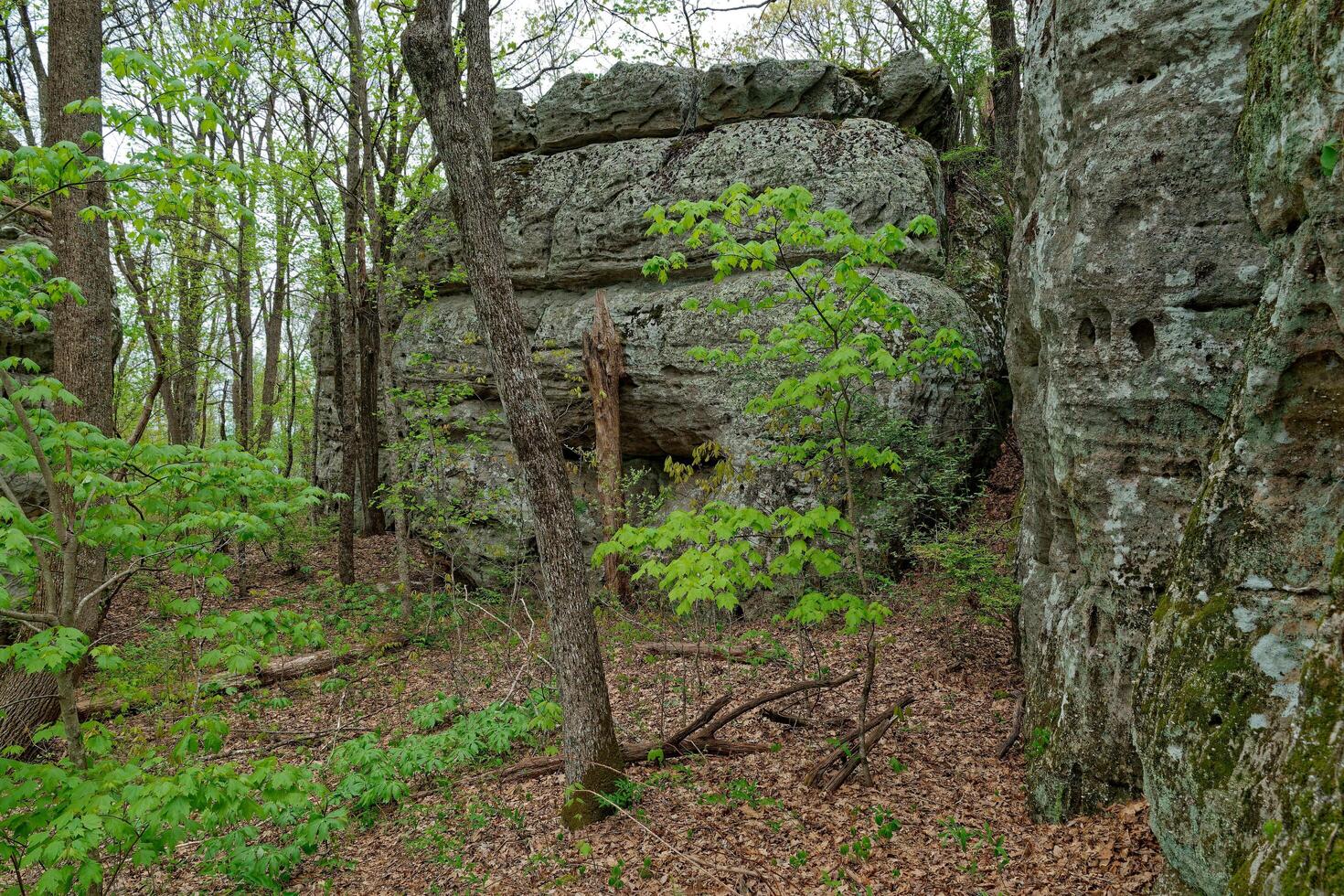 Boulders at Black mountain in Tennessee photo