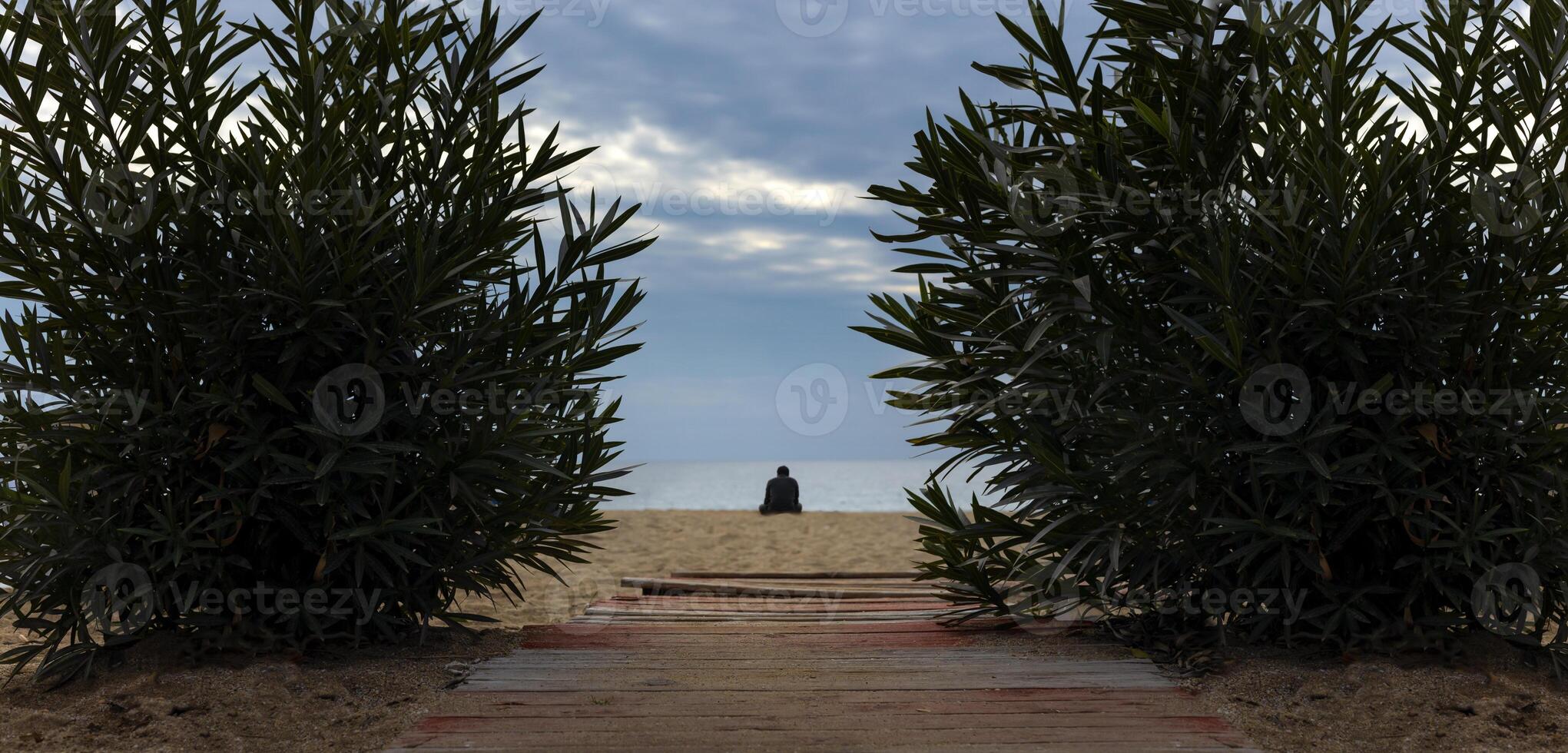 Rear view portrait of a man relaxing sitting on the beach and looking at the sea in the background. High quality photo