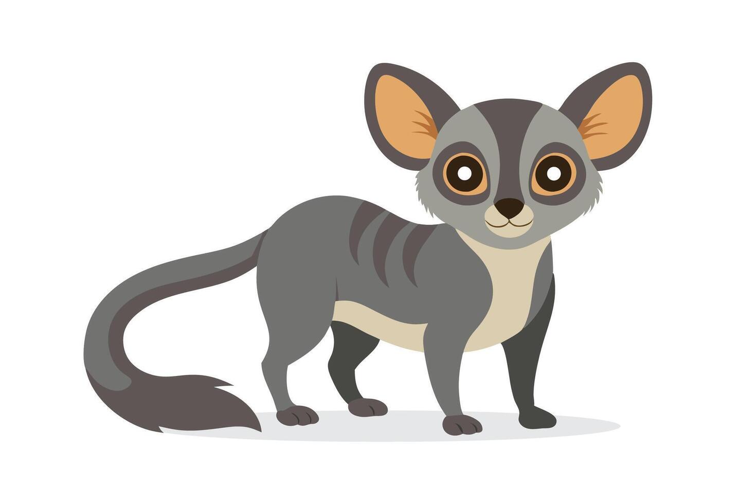 Lesser Bush Baby animal isolated flat illustration on white background vector