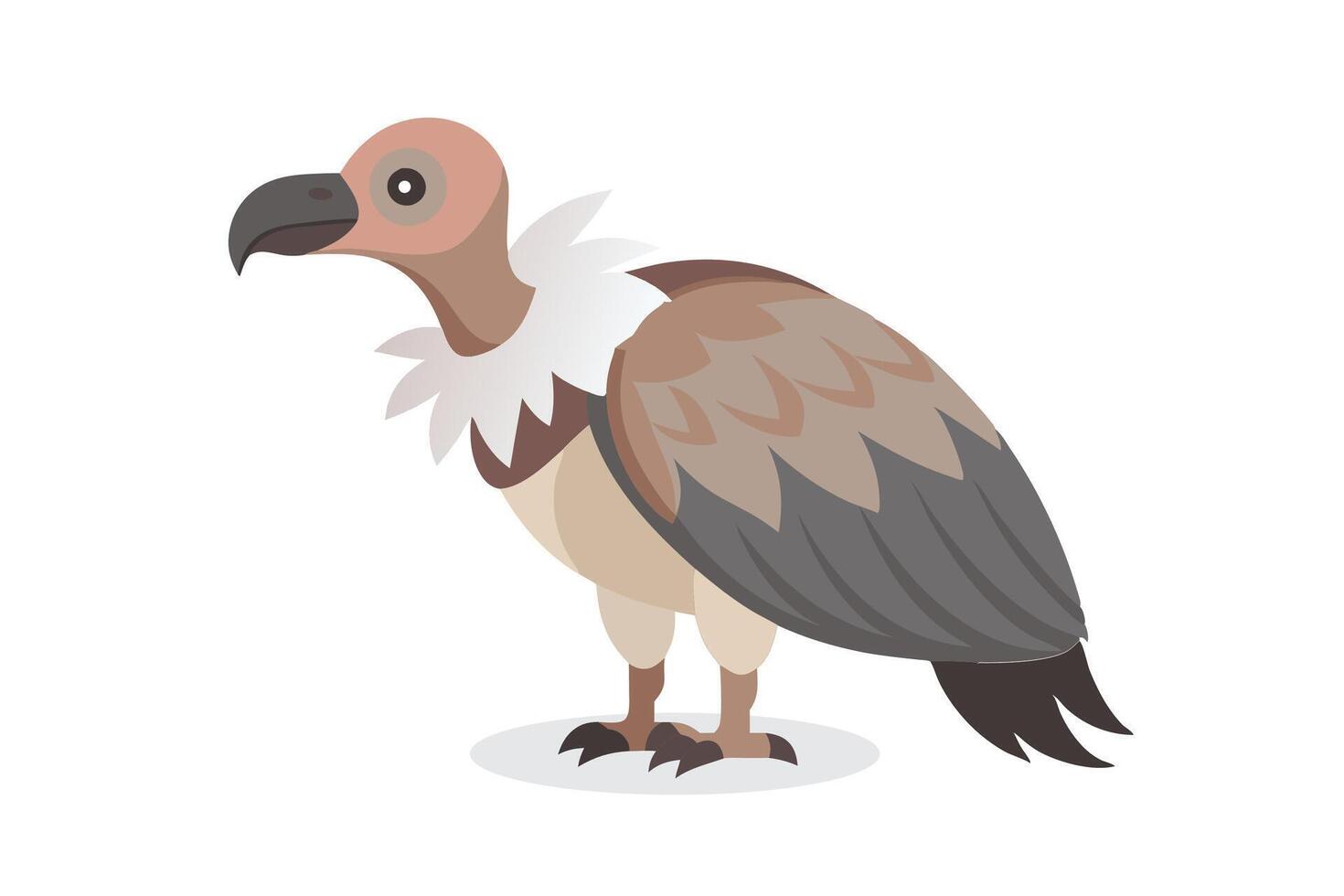 Vulture animal isolated flat illustration on white background vector