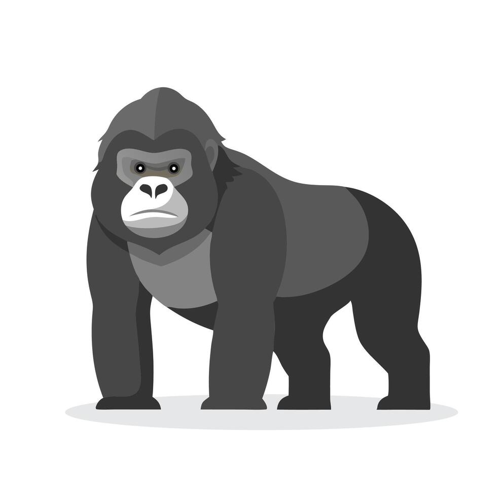 Mountain Gorilla animal isolated flat illustration on white background. vector