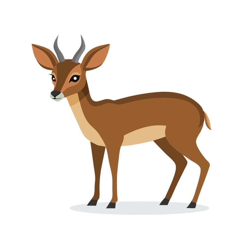 Dik Dik animal isolated flat illustration on white background vector