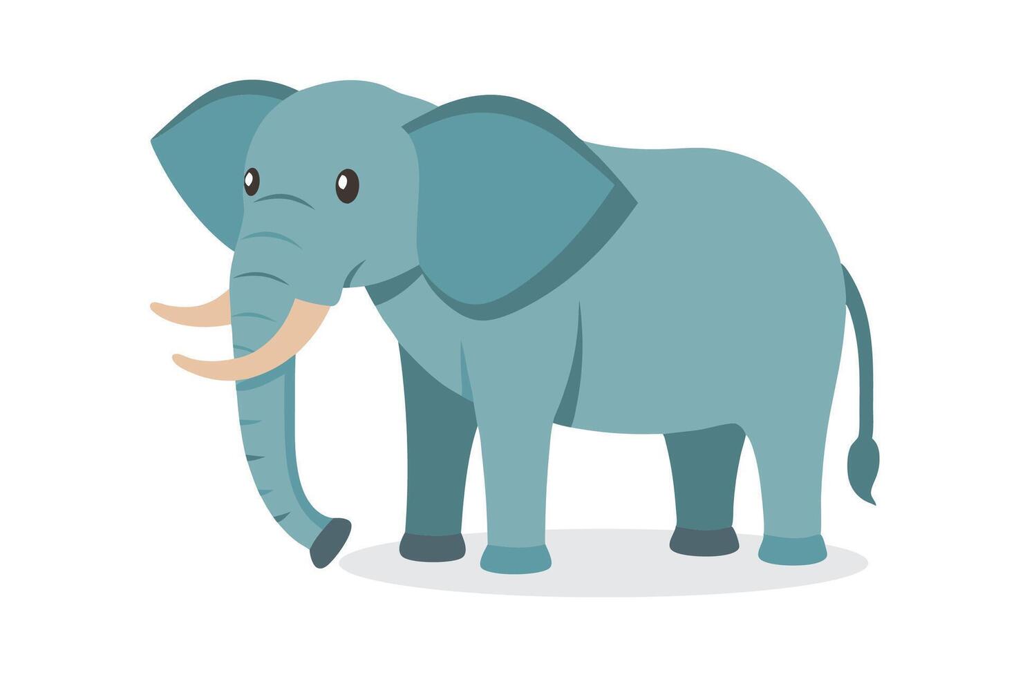 Elephant animal isolated flat illustration on white background. vector