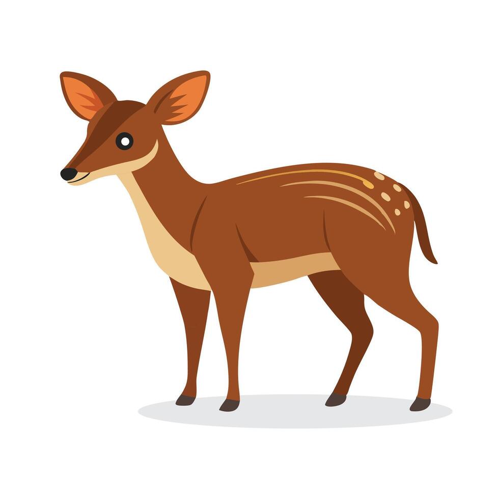 Duiker animal isolated flat illustration on white background. vector