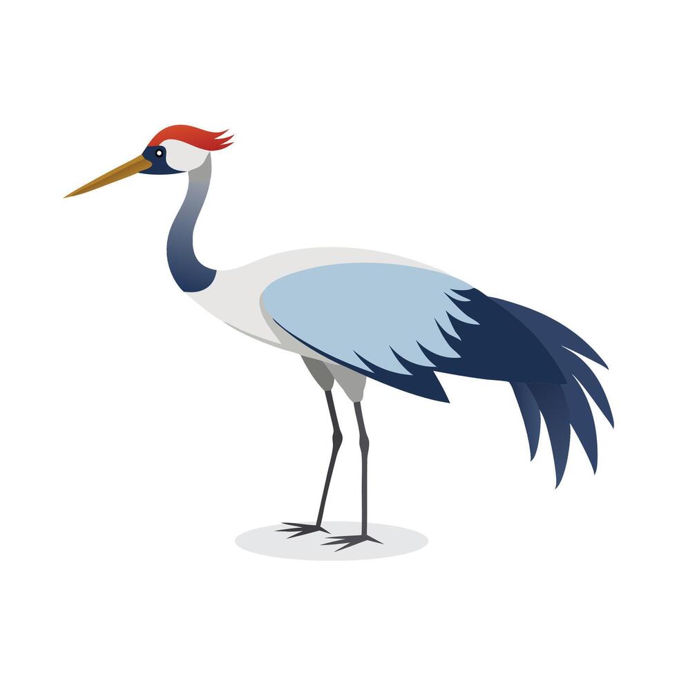 Wattled Crane animal isolated flat illustration on white background. vector